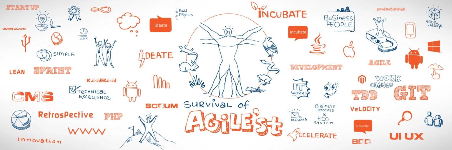 Innovify | Greyphyte